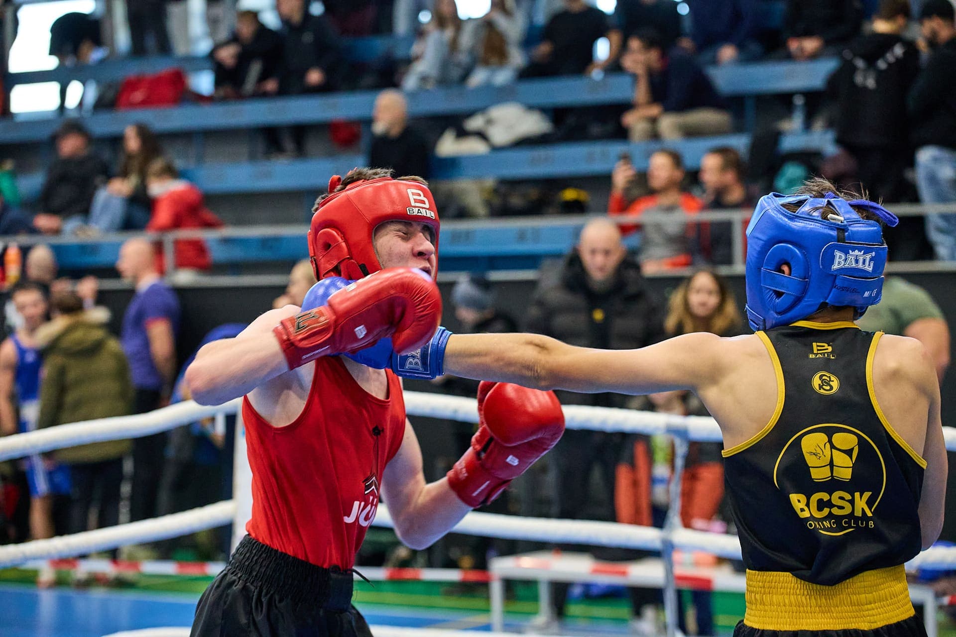 Národní liga boxu "O pohár senátora Hraby" - 24-11-17_R6II6194.jpg