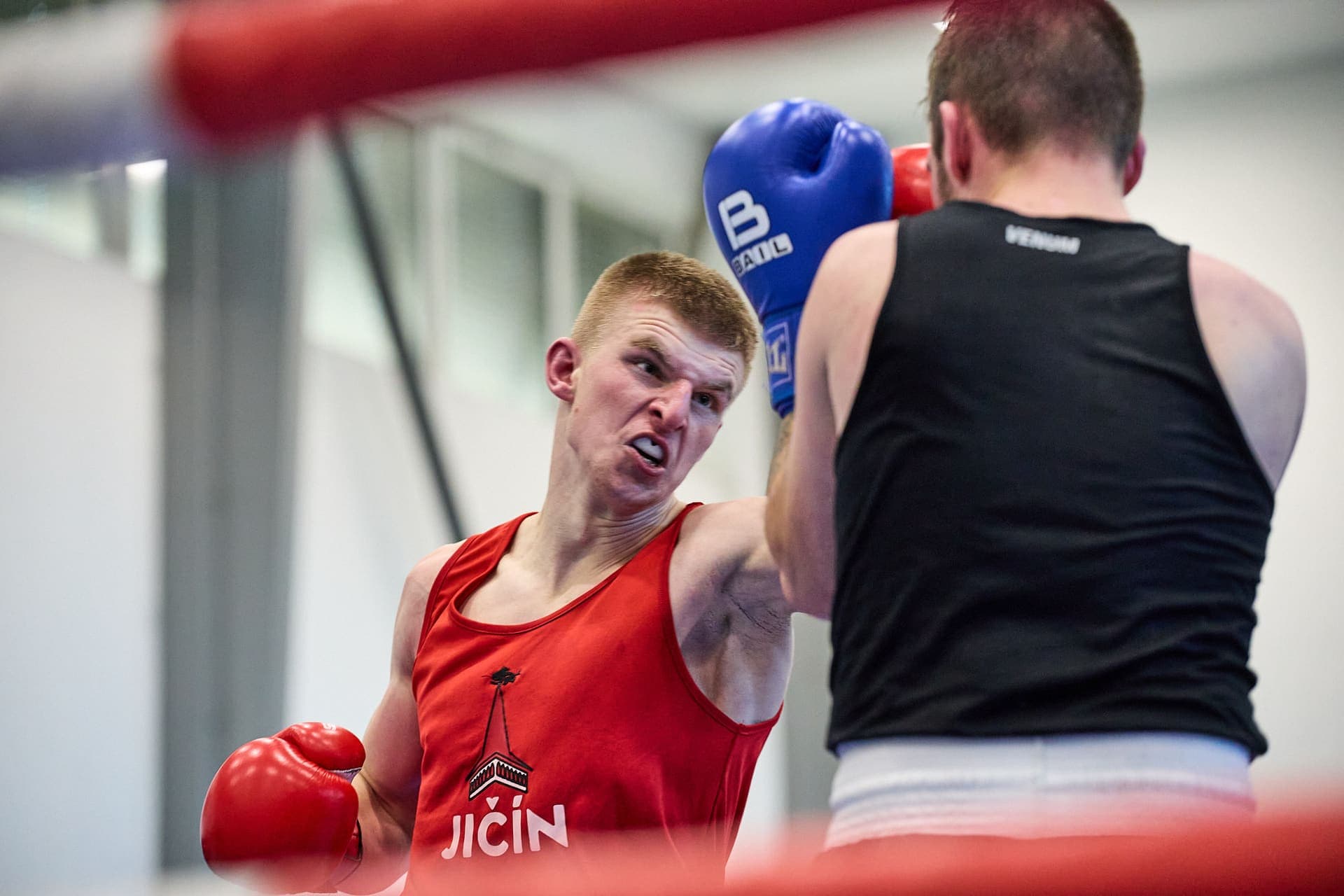 Národní liga boxu "O pohár senátora Hraby" - 24-11-17_R6II6284.jpg