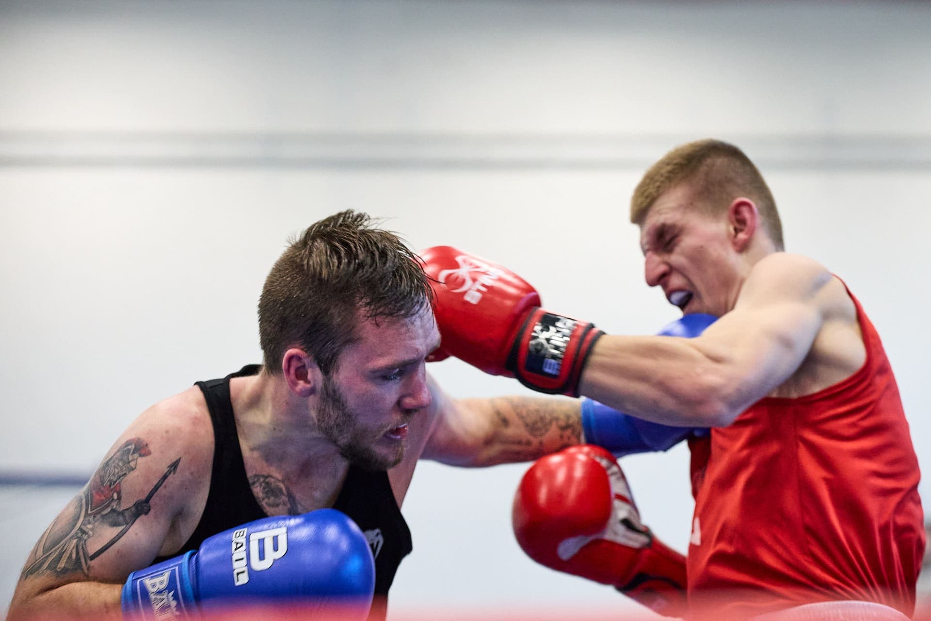 Národní liga boxu "O pohár senátora Hraby" - 24-11-17_R6II6285.jpg