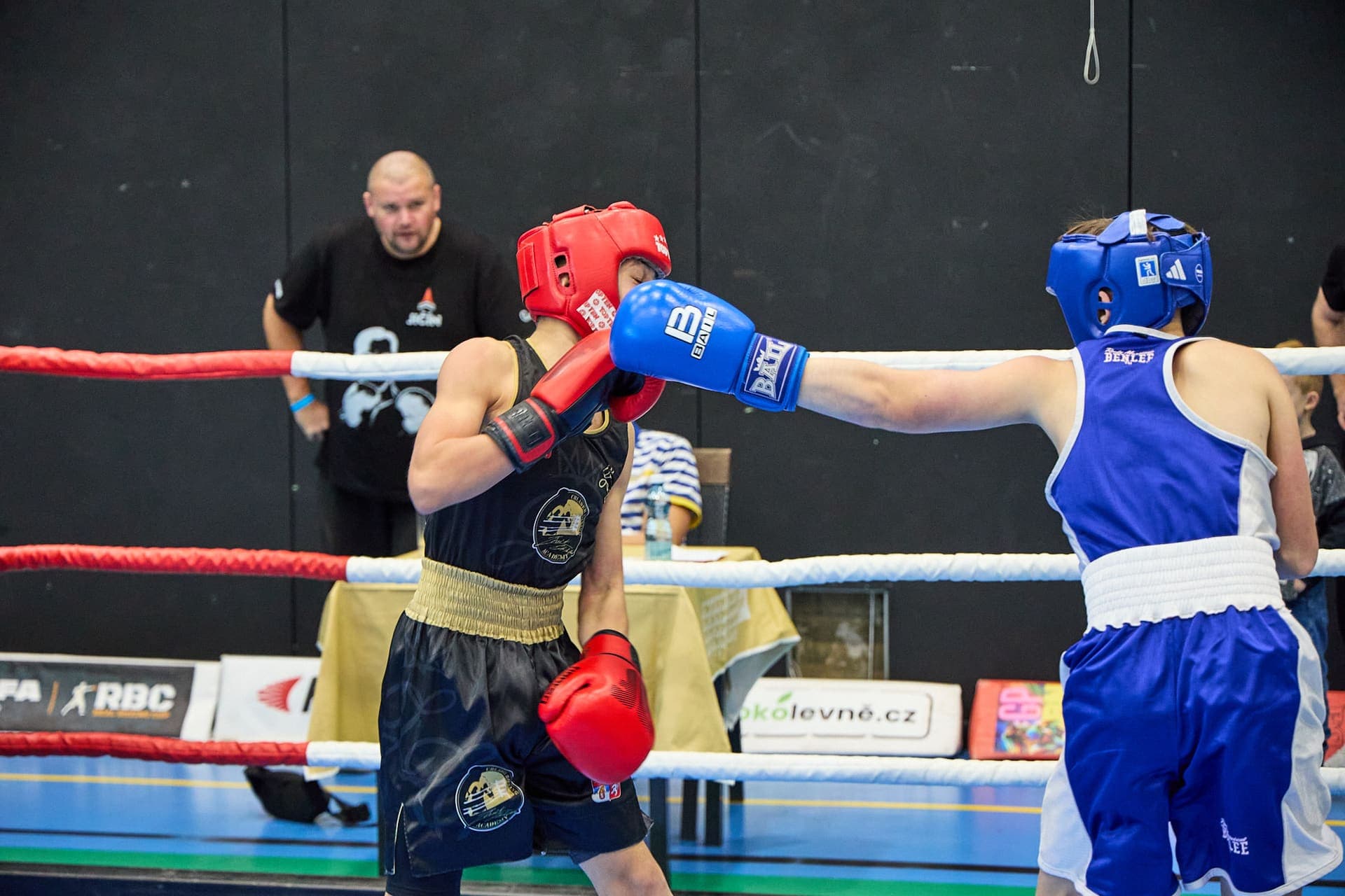 Národní liga boxu "O pohár senátora Hraby" - 24-11-17_R6I_1413.jpg