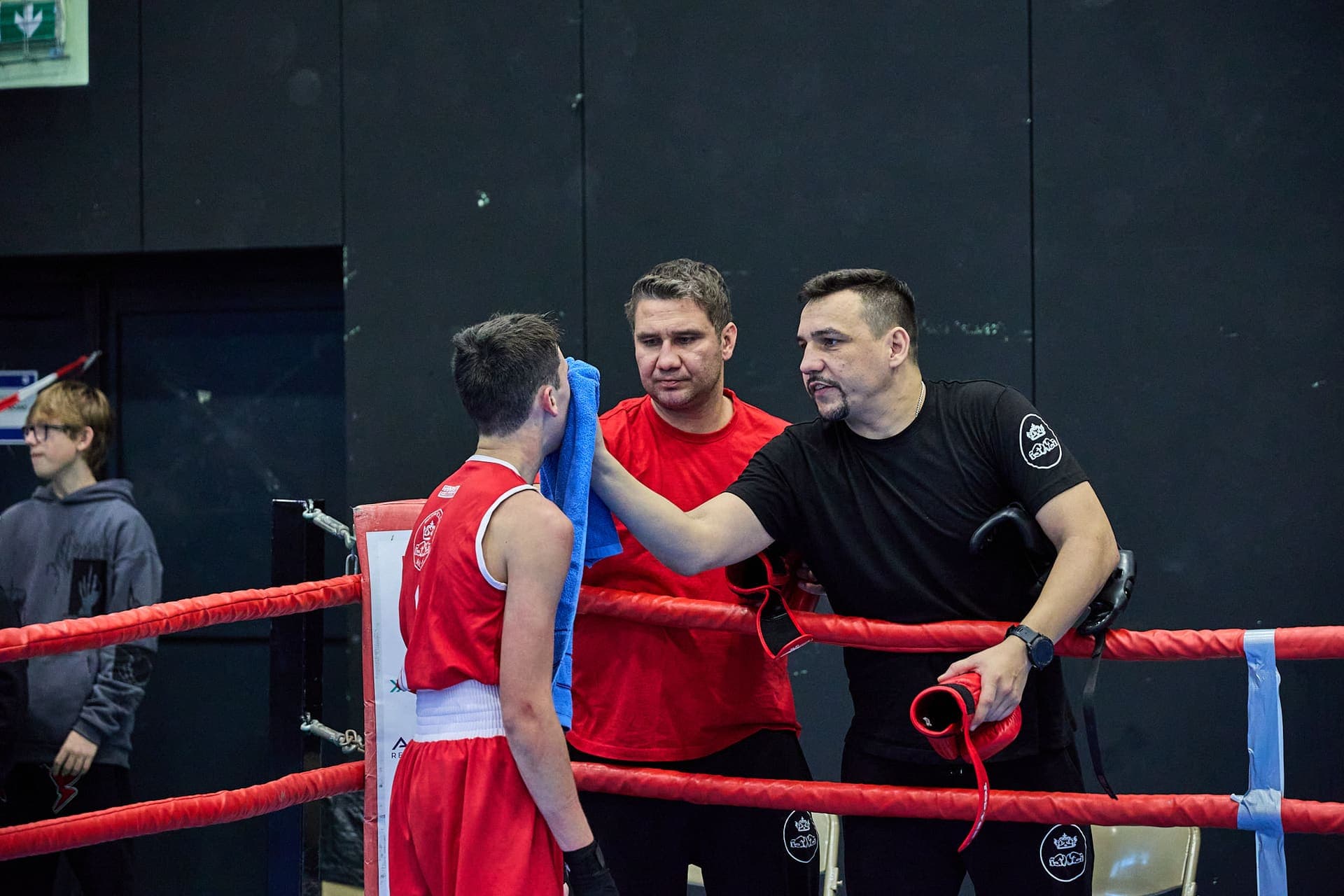 Národní liga boxu "O pohár senátora Hraby" - 24-11-17_R6I_1607.jpg