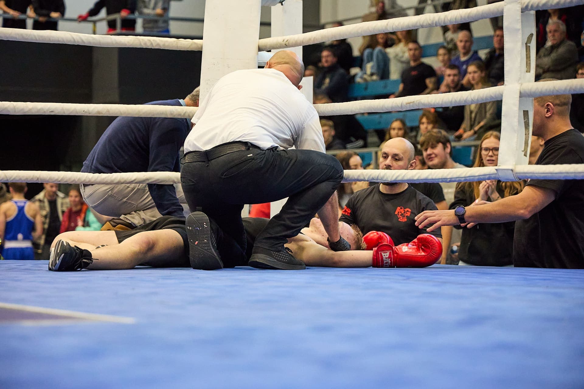 Národní liga boxu "O pohár senátora Hraby" - 24-11-17_R6I_1644.jpg