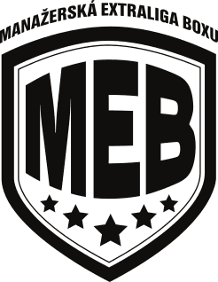 Manažerská extraliga boxu